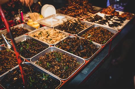 The Ultimate Edible Insect Travel Guide Thailand