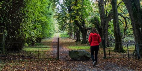 Hiking Killarney National Park with Ireland Walk Hike Bike - Twitter ...