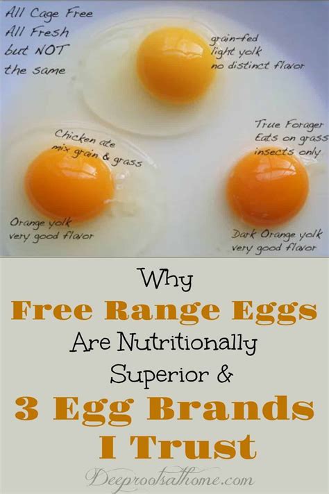 Describe the Advantages and Disadvantages of Eating Free Range Chickens