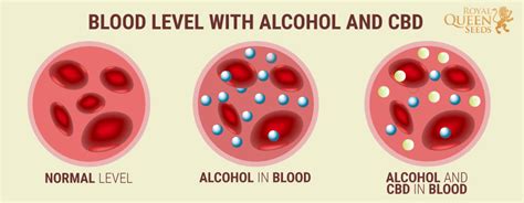 What Are The Effects Of Mixing Cbd And Alcohol Rqs Blog