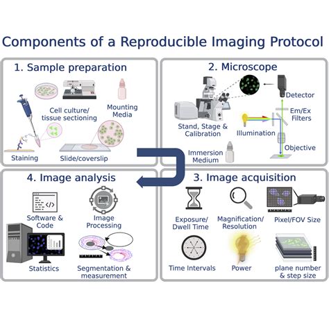 Cell Press: STAR Protocols 