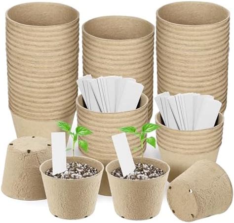 Amazon Daniel S Plants Naked Pots Large Natural Plantable