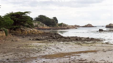 Kostenloses Foto zum Thema: bretagne, ebbe, fels