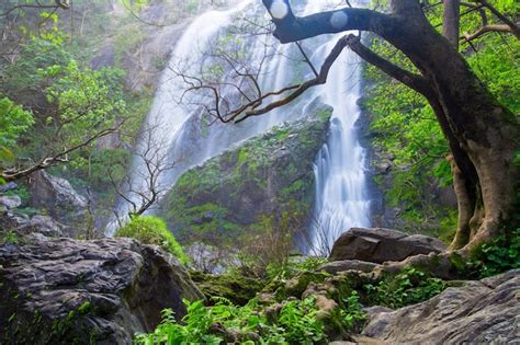 Sch Ner Wasserfall Im Gr Nen Wald Im Dschungelwaldwasserf Lle