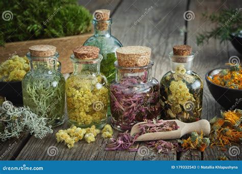 Bouteilles D infusion D herbes Médicinales Et De Plantes Et Fleurs De