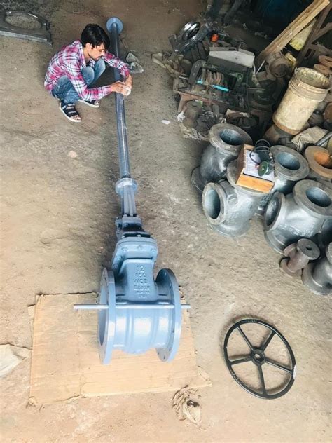 Flanged End Cs Gate Valve Size 25mm To 500mm At Rs 4500 In Ahmedabad