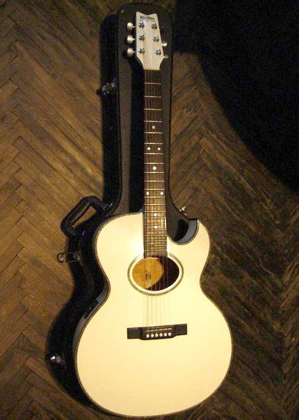 белая гитара Виктора Цоя Whity Tsoy (Washburn EA20VT) за 27.512 ₽ — Whity