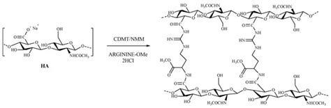 A Safe By Design Approach For The Synthesis Of A Novel Cross Linked