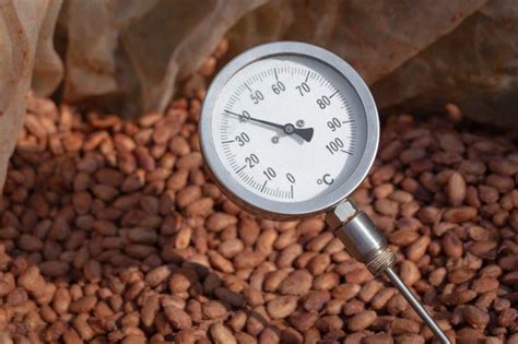 Premium Photo Cocoa Fermentation Temperature The Cocoa Bean