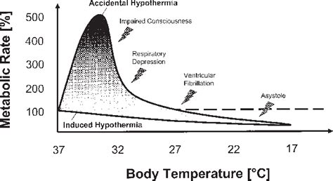 Metabolic Effects Of Hypothermia In Non Hibernating Mammals Whereas Download Scientific