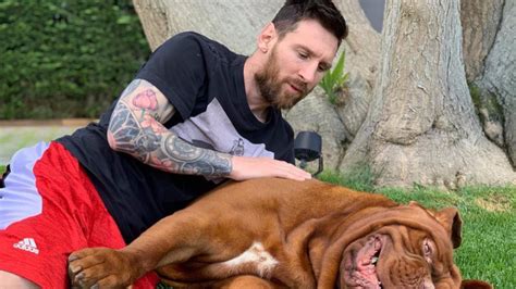 Las Mascotas De Leo Messi