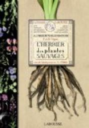 L Herbier Des Plantes Sauvages Pierre Vignes Babelio