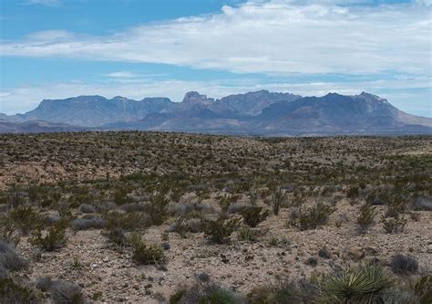 Chihuahuan Desert Of West Texas - Pets Lovers