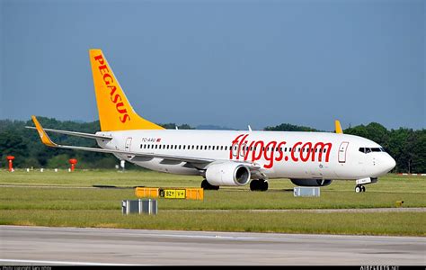 Pegasus Airlines Boeing Ng Max Tc Aau Fhoto Airfleets