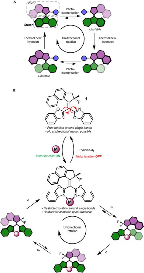 Vintage Ligand Powers Switchable Molecular Motors Chem