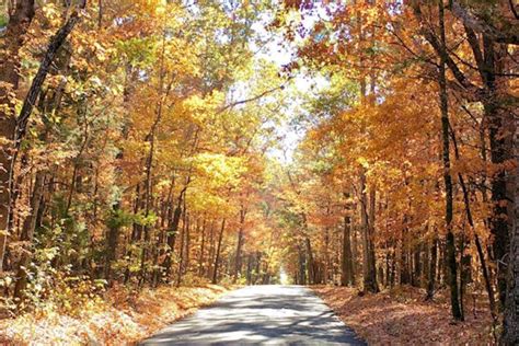 Cedars of Lebanon State Park In Lebanon, TN | America's State Parks