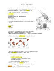 Microbiology Lab Practical Review Techniques Procedures Course Hero