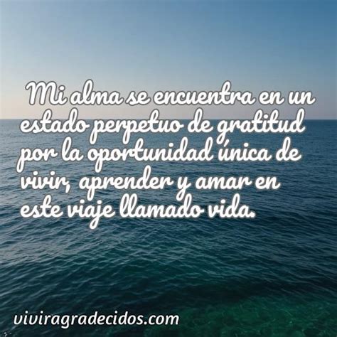 Mejores Frases De Agradecimiento Por Vivir Vivir Agradecidos