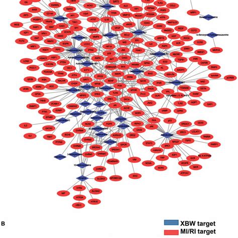 Network Of Compound And Disease Targets A Compound Target Network