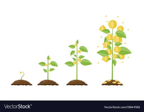 Growing Money Tree Stages Of Growing Royalty Free Vector