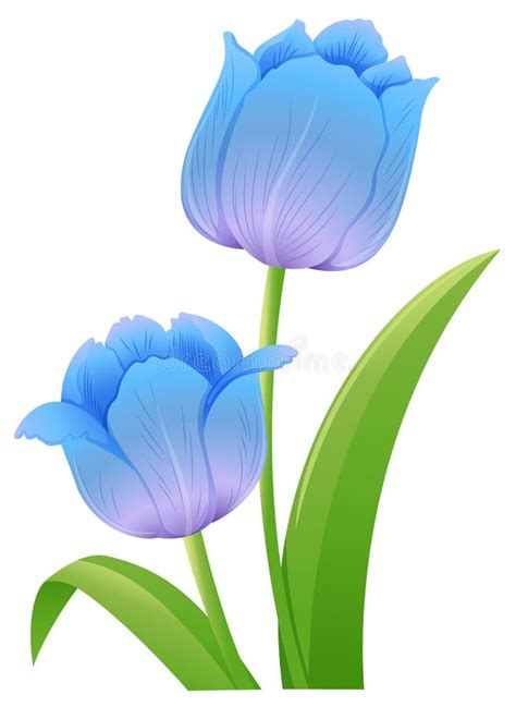 Blue Tulips Background Stock Illustration Illustration Of Postcard