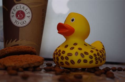 Идеи интерьера ванной комнаты для любителей желтых уточек - Funny Ducks