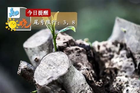 知晓｜3~15℃，2023年北京老旧小区改造任务公布！新开工项目301个！到2035年，北京规划市澎湃号·媒体澎湃新闻 The Paper