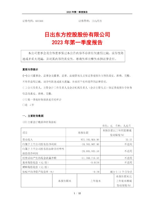 日出东方：日出东方控股股份有限公司2023年第一季度报告