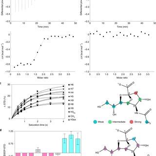 Biophysical Analysis Of Ligand Binding To Rgsbp A B Itc Isotherms Of