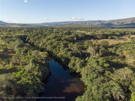 A Medicina E O Rio Das Velhas Como Um Projeto Criado Por M Dicos