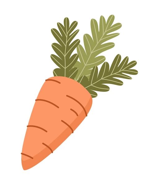 Premium Vector Carrot Isolated On White Background Easter Element