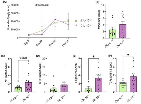 The Effect Of Sex Specific Differences On Il 10− − Mouse Colitis