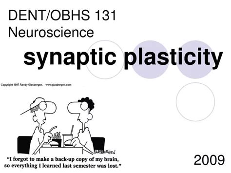 PPT - synaptic plasticity PowerPoint Presentation - ID:1836027