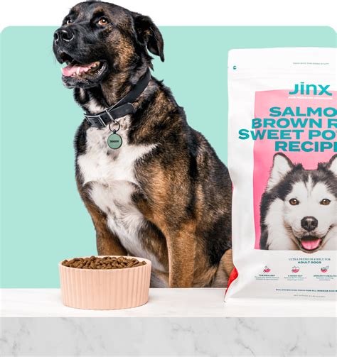 Jinx Dog Food Review | Consumer Rating