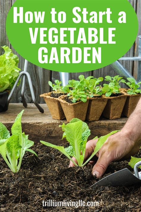 Learn How To Start A Vegetable Garden With Our 8 Easy Steps There Are So Many Physical