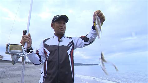 【いつでも釣り気分！】198 良型落ちギス狙い！ 高知県の投げ釣り Youtube