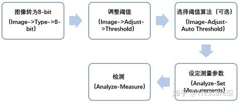 Imagej实用技巧——平均荧光强度检测定量分析篇 知乎