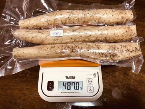 Yahooオークション 栃木県産 自然薯 480g 真空パック 現品特価