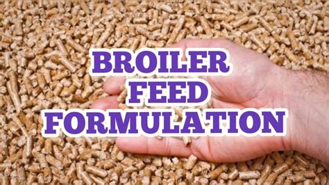 Broiler Finisher Feed Formula 28 Sa 42 Din Tak Ki Broiler Feed