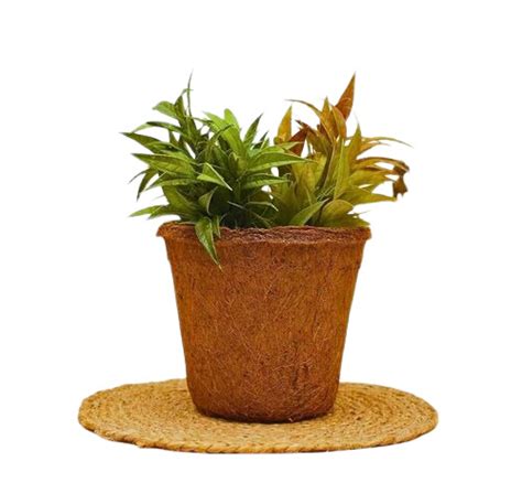 Round Shape Brown Coir Pot At Best Price In Pollachi Skc Coir Eco