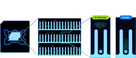 Antibody Discovery Kit Bruker Cellular Analysis