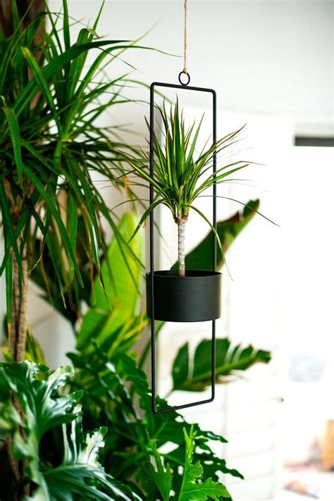 Perfect Hanging Planters Black Front Door Basket