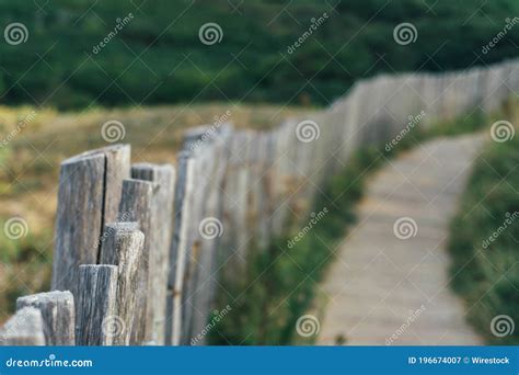 Tir De Focalisation S Lectif D Une Longue Barri Re En Bois Dans Un