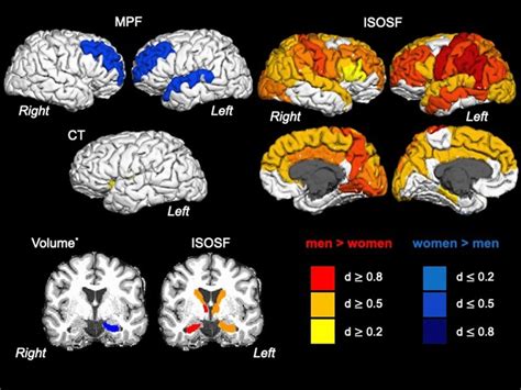 Displays The Effects Of Sex On Cortical Thickness Ct Subcortical Download Scientific Diagram