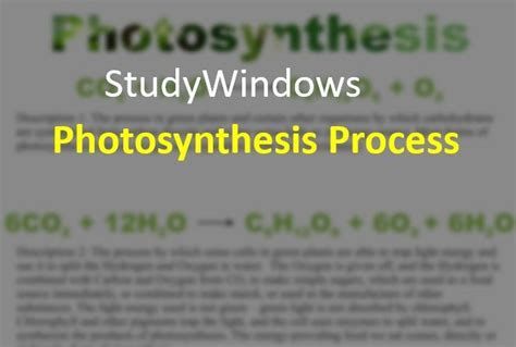 What is photosynthesis definition meaning equation products reactants ...