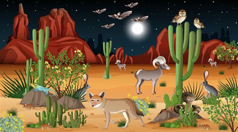 Desert forest landscape at night scene with wild animals 2384350 Vector ...