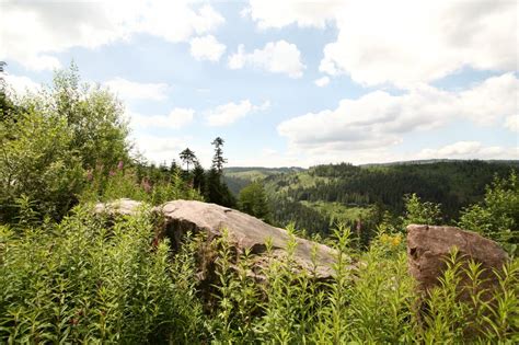 Wellnesshotel & Restaurant im Schwarzwald - Hotel Schliffkopf