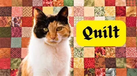 Calico Cat Names For Your Tri Color Cat