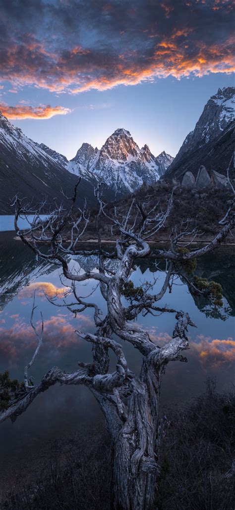 Подборка обоев на твой смартфон (50HD) | 18 - Варнет