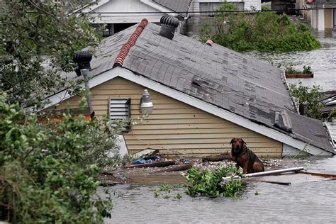 Hurricane Katrina Anniversary 40 Powerful Photos Of New Orleans After